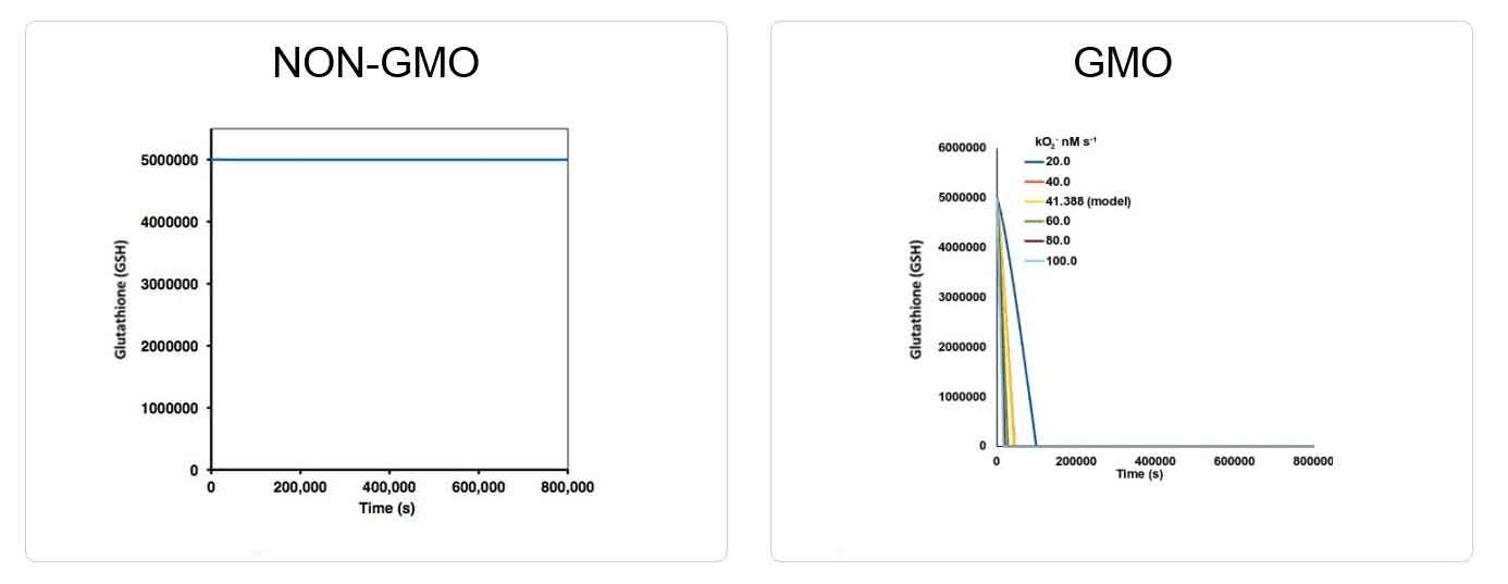 Glutathione Depletion in GMO Glutathione Depletion in GMO