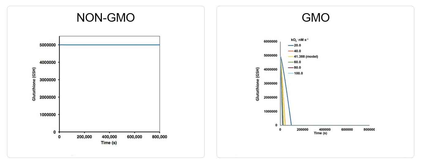 Glutathione Depletion in GMO